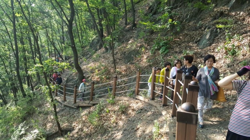 황금동교회 / 자유앨범