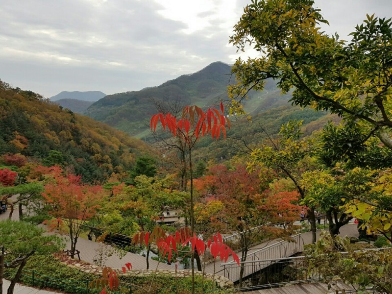 황금동교회 / 자유앨범