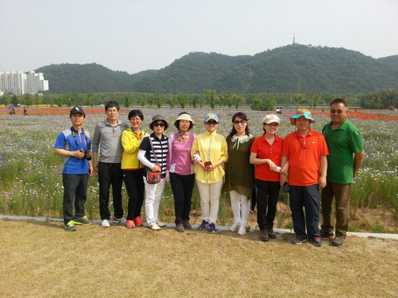 황금동교회 / 자유앨범