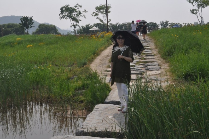 황금동교회 / 자유앨범
